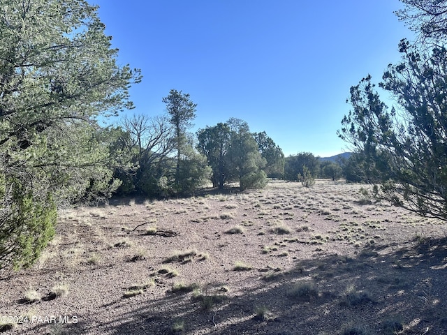 Listing photo 3 for 545C N Summer Rain Rd, Seligman AZ 86337