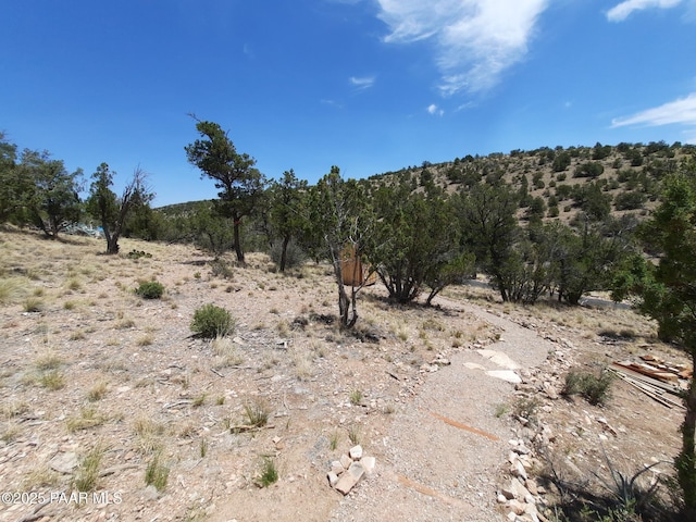 52990 N Calle Campo, Seligman, AZ 86337
