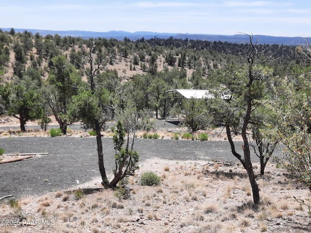 52990 N Calle Campo, Seligman, AZ 86337