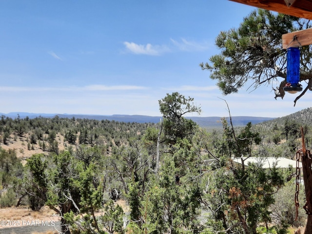52990 N Calle Campo, Seligman, AZ 86337