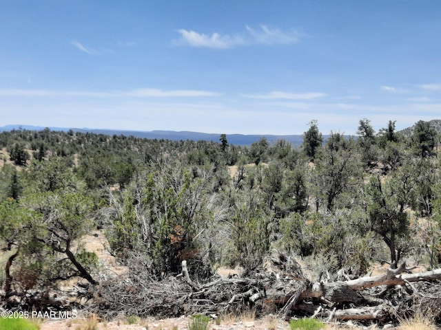 52990 N Calle Campo, Seligman, AZ 86337