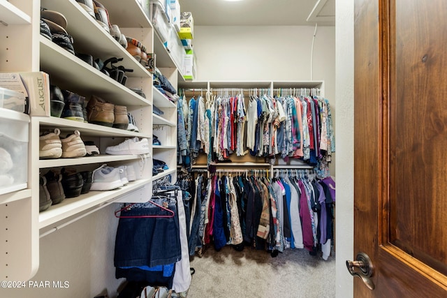 walk in closet with carpet flooring