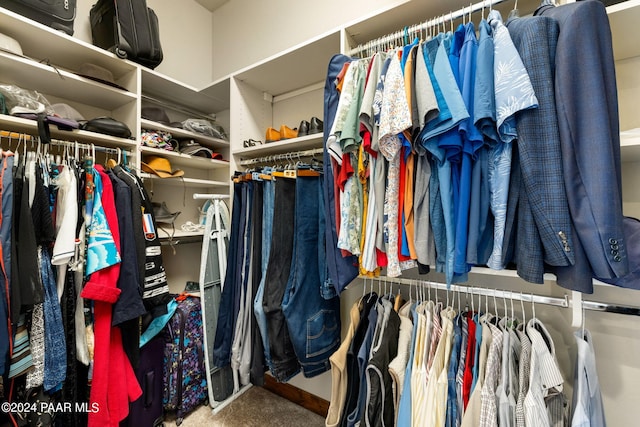 walk in closet featuring carpet flooring