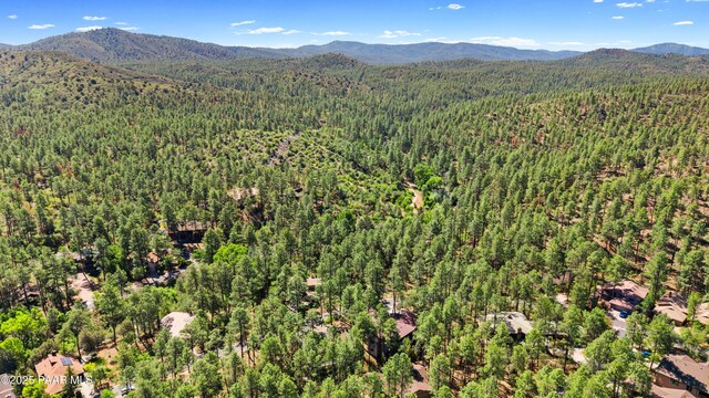 1677 Coyote Rd, Prescott, AZ 86303 - photo 22