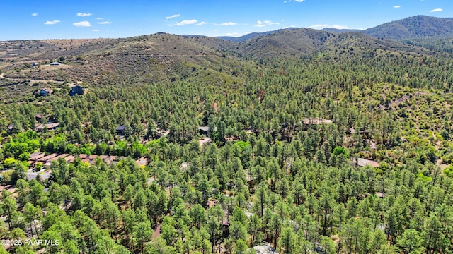 1677 Coyote Rd, Prescott, AZ 86303 - photo 23