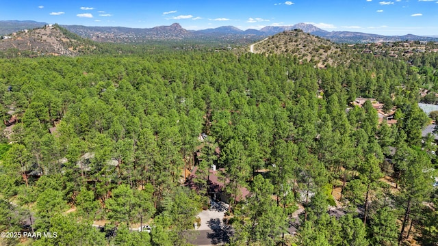 1677 Coyote Rd, Prescott, AZ 86303 - photo 20