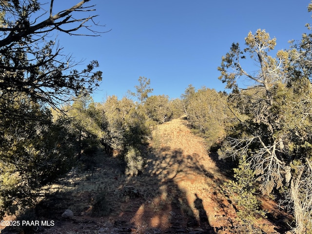 54683 N El Portal Ln, Seligman, AZ 86337 - view of nature featuring a view of trees