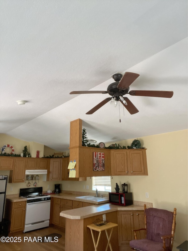 54683 N El Portal Ln, Seligman, AZ 86337 - kitchen featuring extractor fan, light countertops, lofted ceiling, a peninsula, and white appliances