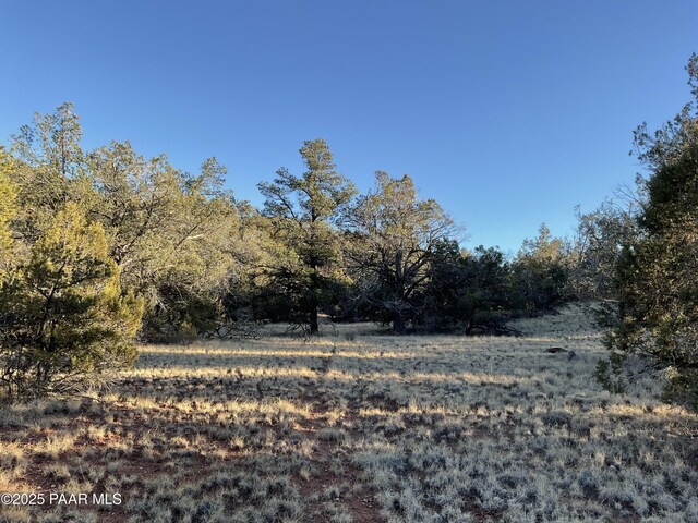 54683 N El Portal Ln, Seligman, AZ 86337 - view of local wilderness
