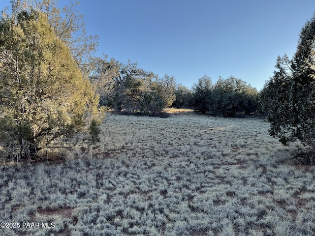 54683 N El Portal Ln, Seligman, AZ 86337 - view of nature featuring a view of trees