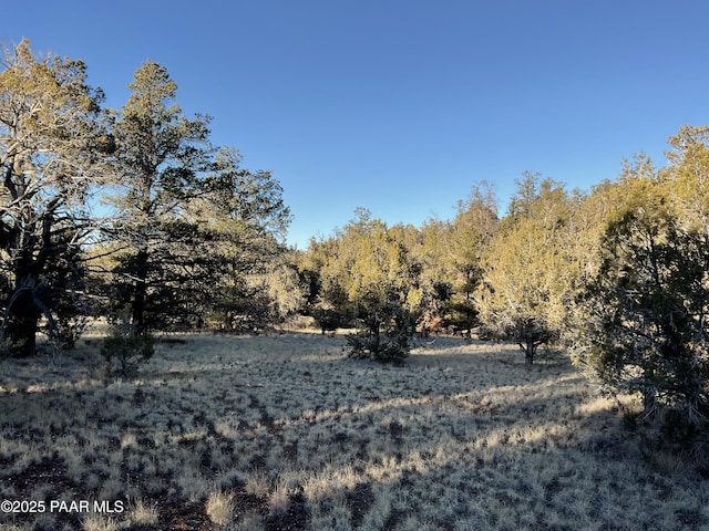54683 N El Portal Ln, Seligman, AZ 86337 - view of landscape