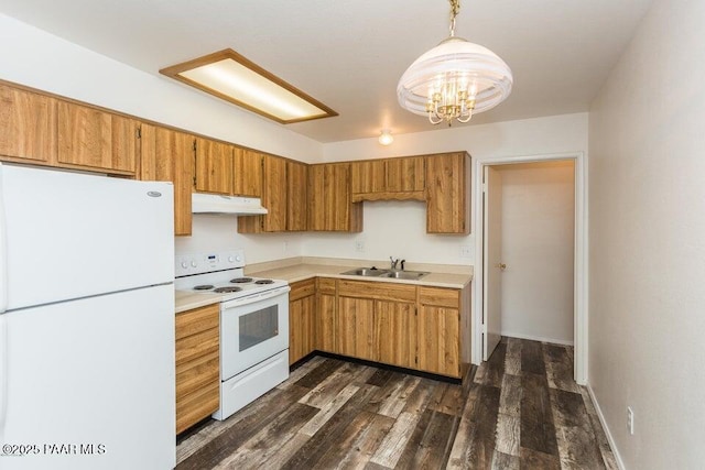 kitchen with under cabinet range hood, light countertops, dark wood-style floors, white appliances, and a sink