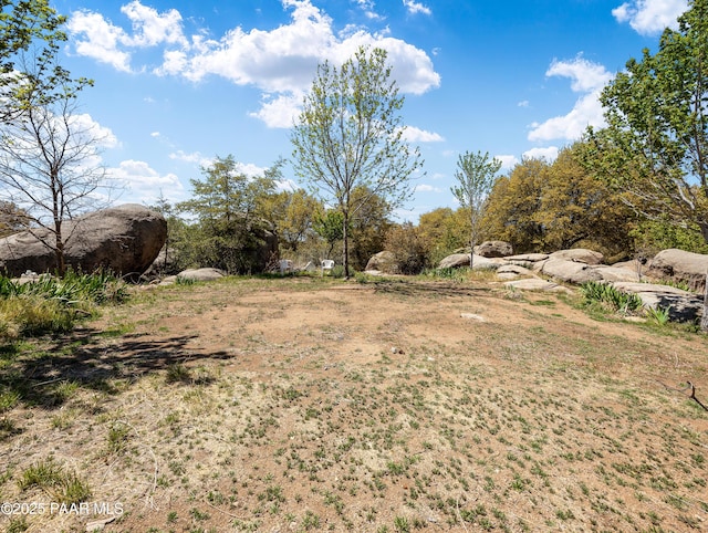 22891 S Lakewood Dr, Yarnell, AZ 85362 - view of yard