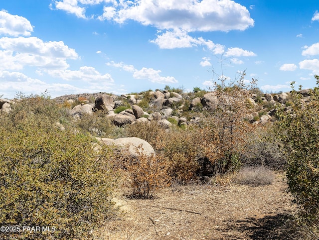 22891 S Lakewood Dr, Yarnell, AZ 85362 - view of local wilderness