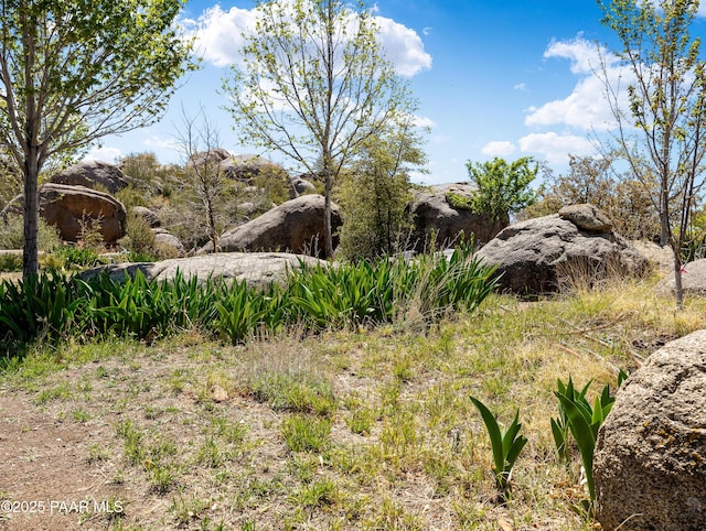 22891 S Lakewood Dr, Yarnell, AZ 85362 - view of local wilderness