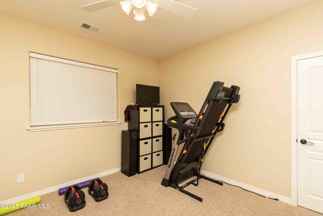 12933 Ponce St, Dewey-Humboldt, AZ 86327 - workout area with a ceiling fan and carpet floors