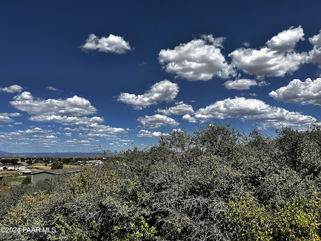 3725 W Road Runner Dr, Chino Valley, AZ 86323 - photo 4