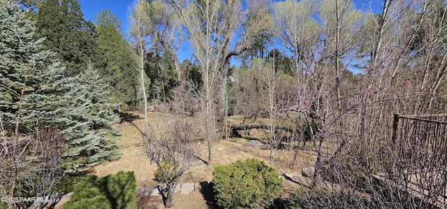 1690 Stable Rock Rd, Prescott, AZ 86303 - view of nature with a forest view