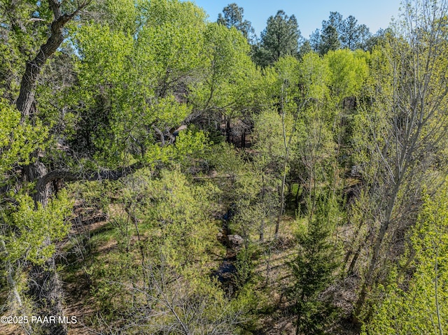 1690 Stable Rock Rd, Prescott, AZ 86303 - view of local wilderness featuring a view of trees