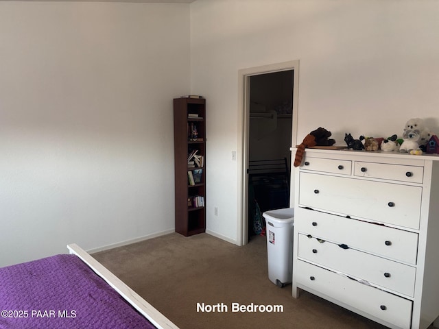 12673 E Amor St, Dewey-Humboldt, AZ 86327 - photo 29