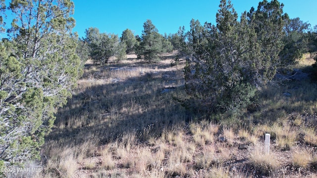 30863 W Basconia Rd, Seligman, AZ 86337 - photo 5