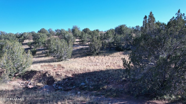 30863 W Basconia Rd, Seligman, AZ 86337 - photo 7