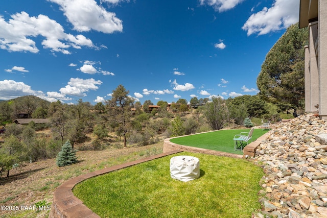 4995 Cactus Pl, Prescott, AZ 86301 - view of grassy yard