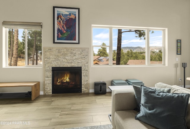 living room with a healthy amount of sunlight, light wood-type flooring, and a fireplace