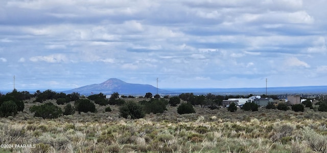 3113 S Parker Dr, Williams, AZ 86046 - photo 6