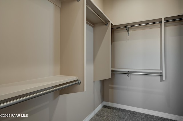1438 W Anne Marie Dr, Chino Valley, AZ 86323 - walk in closet with carpet floors
