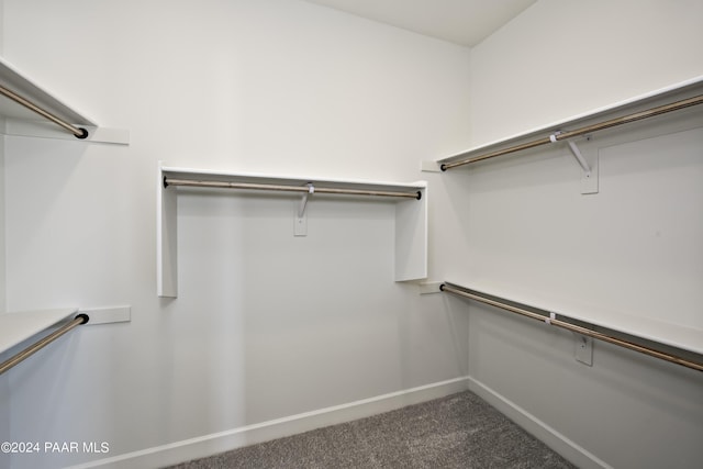 walk in closet with carpet flooring