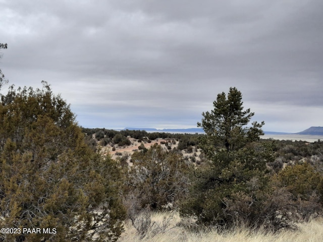 57139 N Bridge Canyon Pkwy, Seligman, AZ 86337 - photo 7