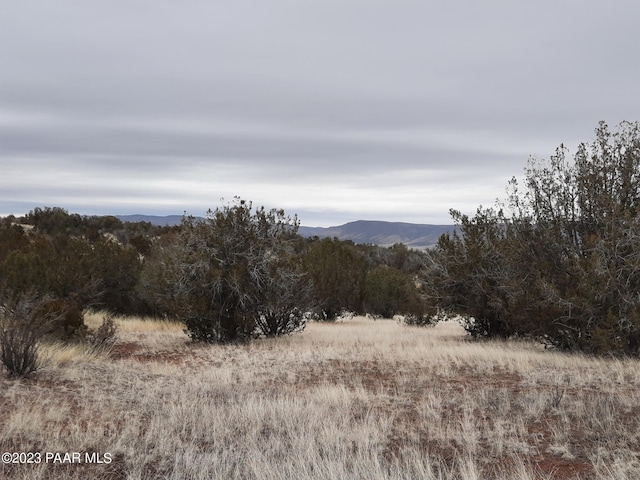 57139 N Bridge Canyon Pkwy, Seligman, AZ 86337 - photo 3