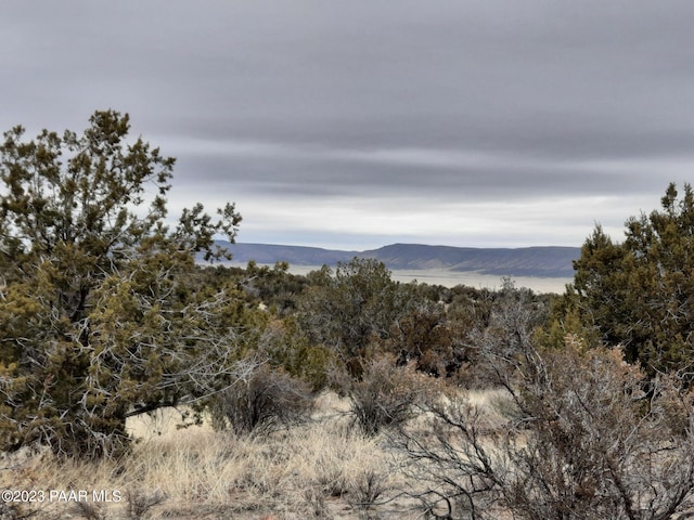 57139 N Bridge Canyon Pkwy, Seligman, AZ 86337 - photo 1