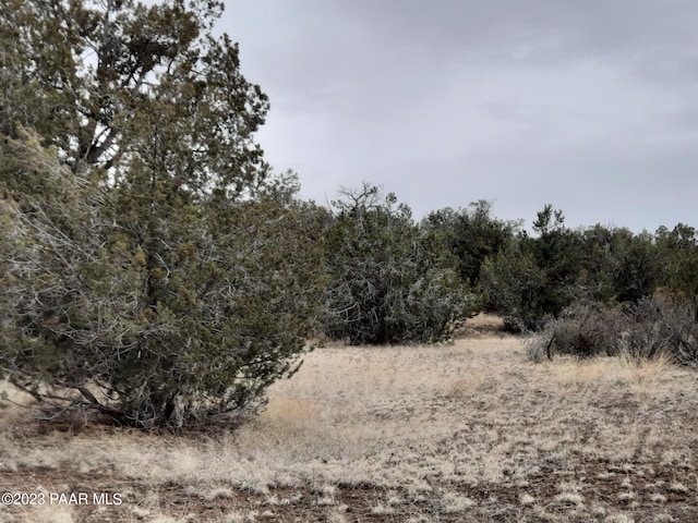 57139 N Bridge Canyon Pkwy, Seligman, AZ 86337 - photo 4