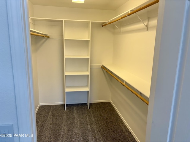 walk in closet with dark colored carpet