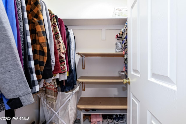 view of walk in closet