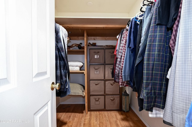 spacious closet featuring wood finished floors