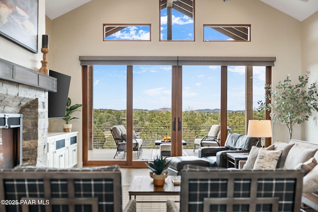 living room featuring wood finished floors and high vaulted ceiling