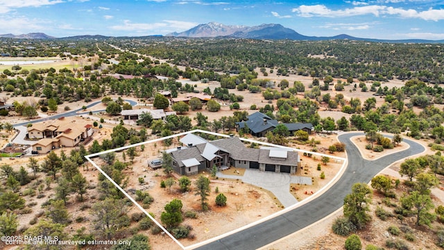 aerial view with a mountain view