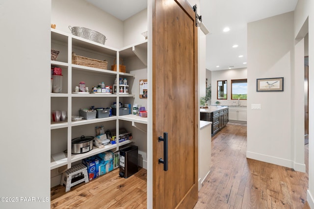 storage area with a sink