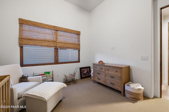 sitting room with light colored carpet