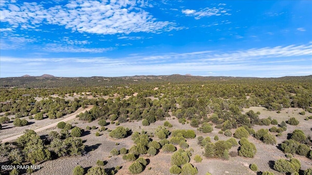8475 W Meadowlark C Rd, Prescott, AZ 86305 - photo 25