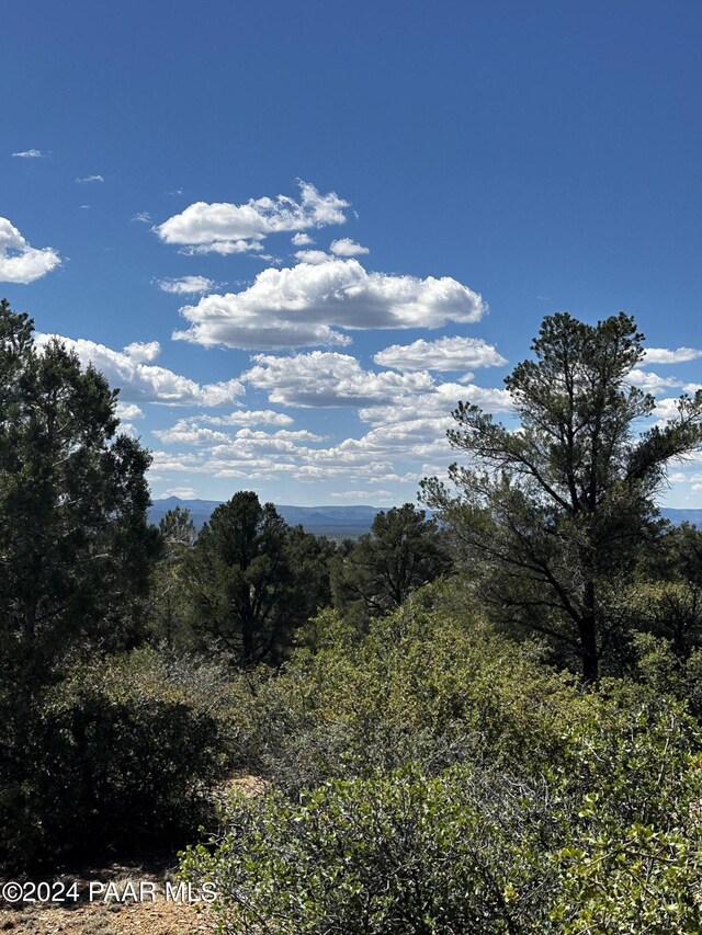 8475 W Meadowlark C Rd, Prescott, AZ 86305 - photo 31