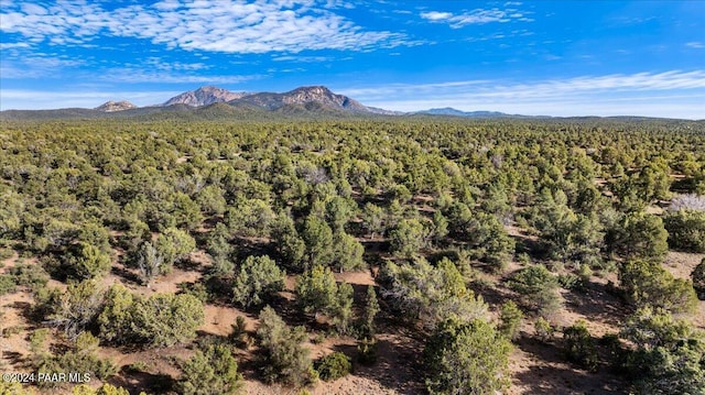 8475 W Meadowlark C Rd, Prescott, AZ 86305 - photo 9