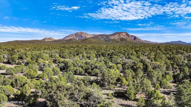 8475 W Meadowlark C Rd, Prescott, AZ 86305 - photo 1