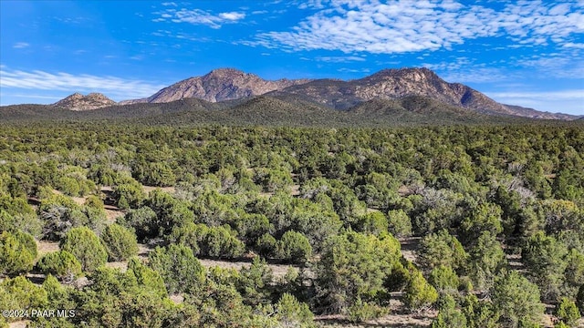 8475 W Meadowlark C Rd, Prescott, AZ 86305 - photo 27