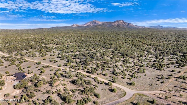 8475 W Meadowlark C Rd, Prescott, AZ 86305 - photo 16