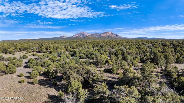 8475 W Meadowlark C Rd, Prescott, AZ 86305 - photo 11