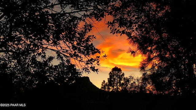 237 Creekside Cir Unit C, Prescott, AZ 86303 - view of nature